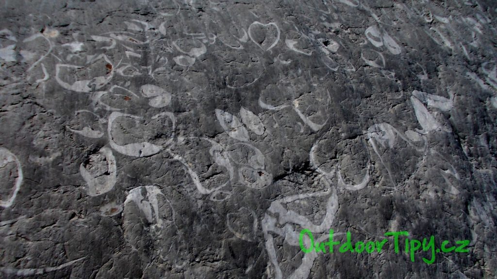 Fosilie na ledovcové moréně