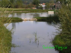 Obecní rybník Hajnice